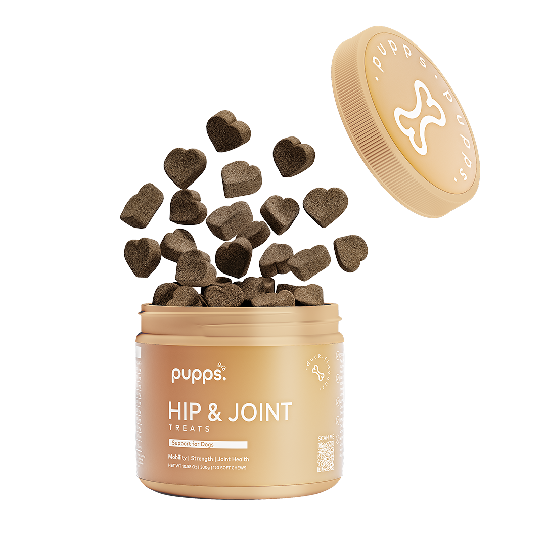 Hip & Joint Treats - 95noo5