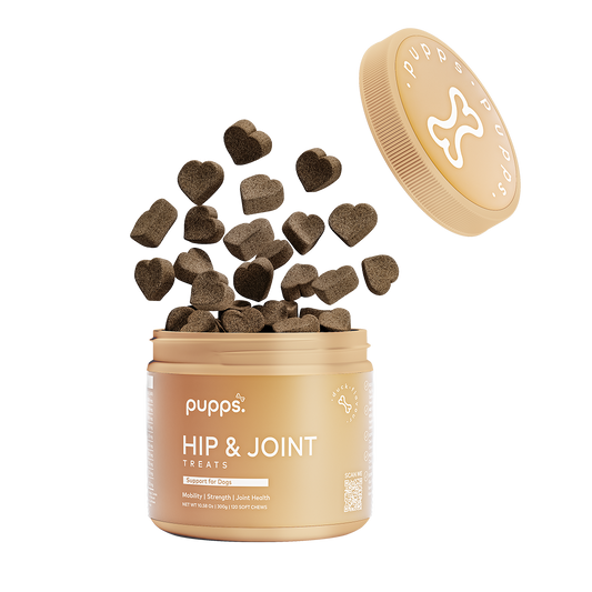 Hip & Joint Treats - 95noo5