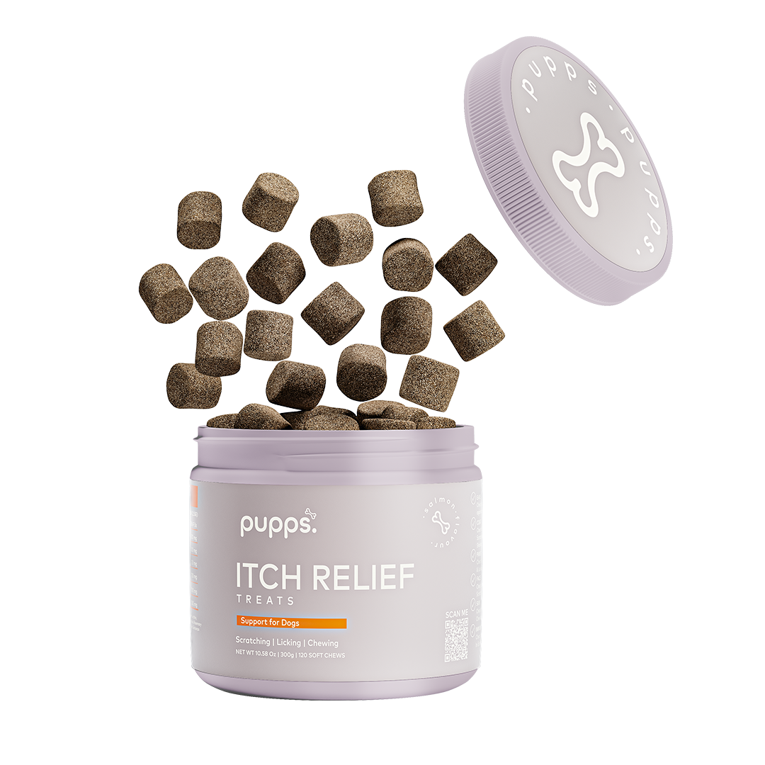 Itch Relief Treats - 95noo5
