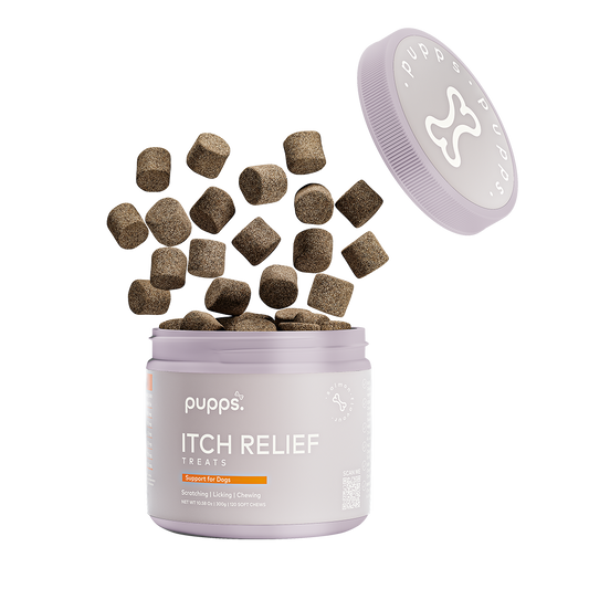 Itch Relief Treats - 95noo5