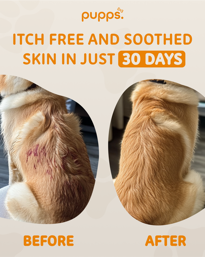Itch Relief Treats - 95noo5