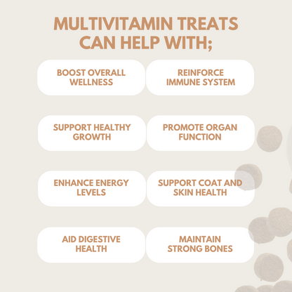 Multivitamin Treats - 95noo5