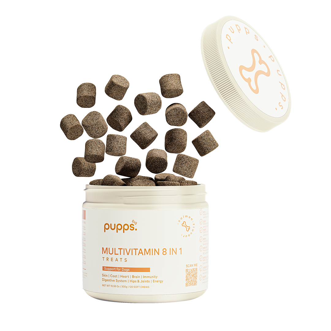 Multivitamin Treats - 95noo5