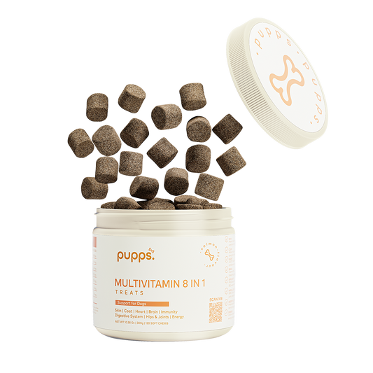 Multivitamin Treats - 95noo5