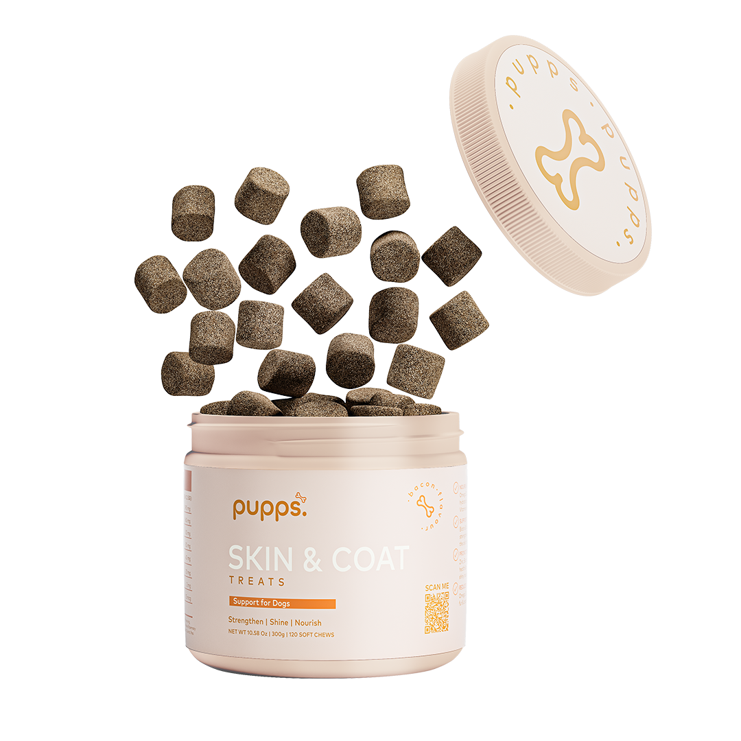 Skin & Coat Treats - 95noo5